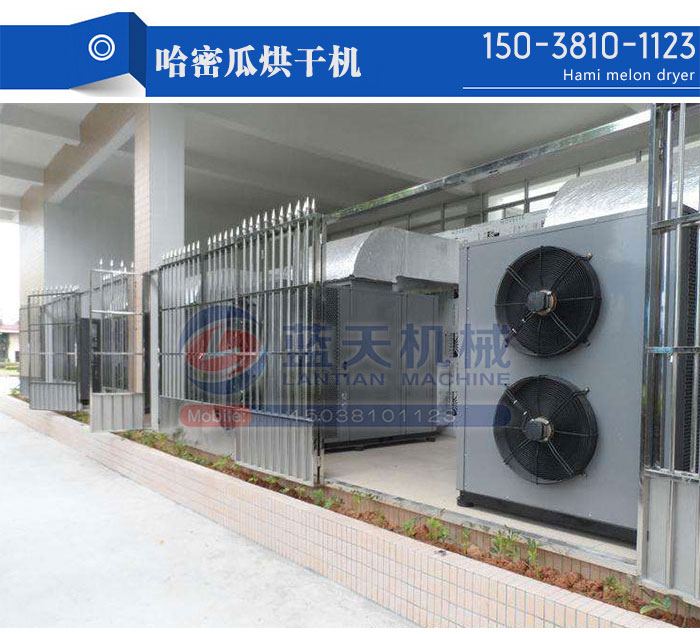 哈密瓜烘干機(jī)