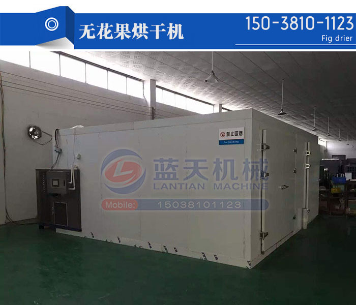 無(wú)花果烘干機(jī)