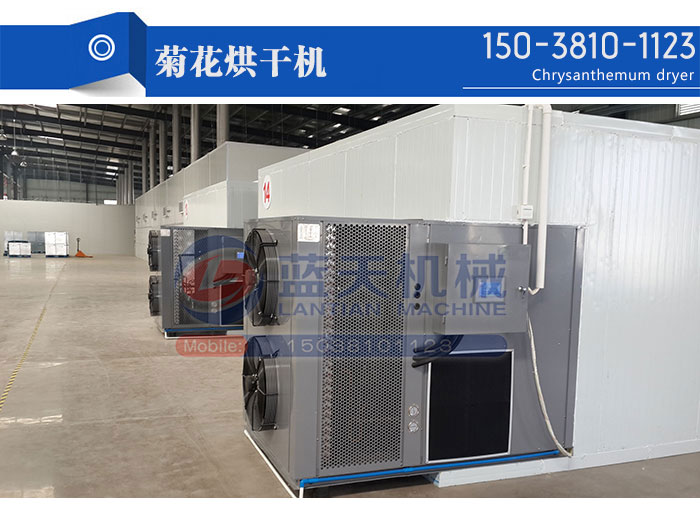 菊花烘干機