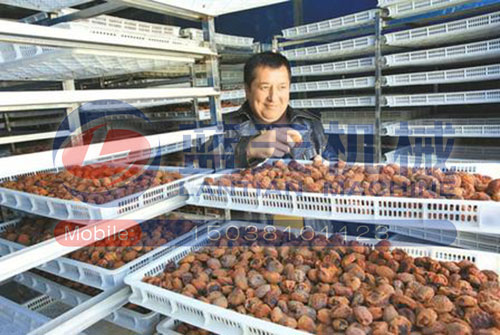 新疆杏干烘干機用戶現(xiàn)場