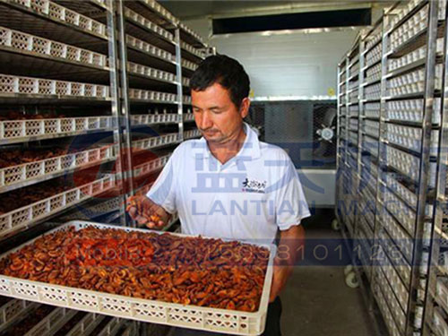 新疆杏干烘干機(jī)用戶現(xiàn)場