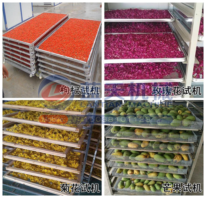 大型中藥材烘干機試機現(xiàn)場