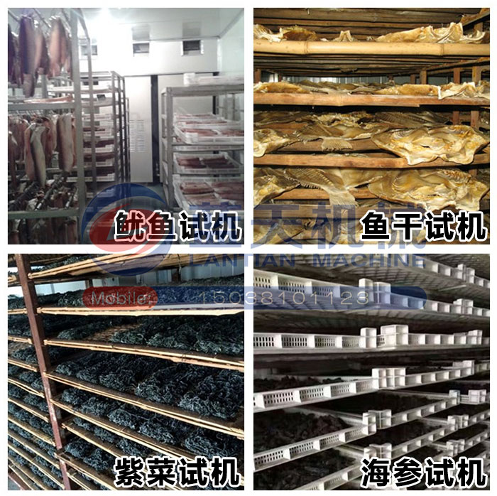 海產(chǎn)品烘干機(jī)試機(jī)現(xiàn)場(chǎng)