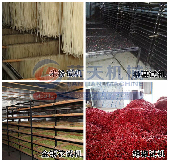 大型米粉烘干機試機現(xiàn)場