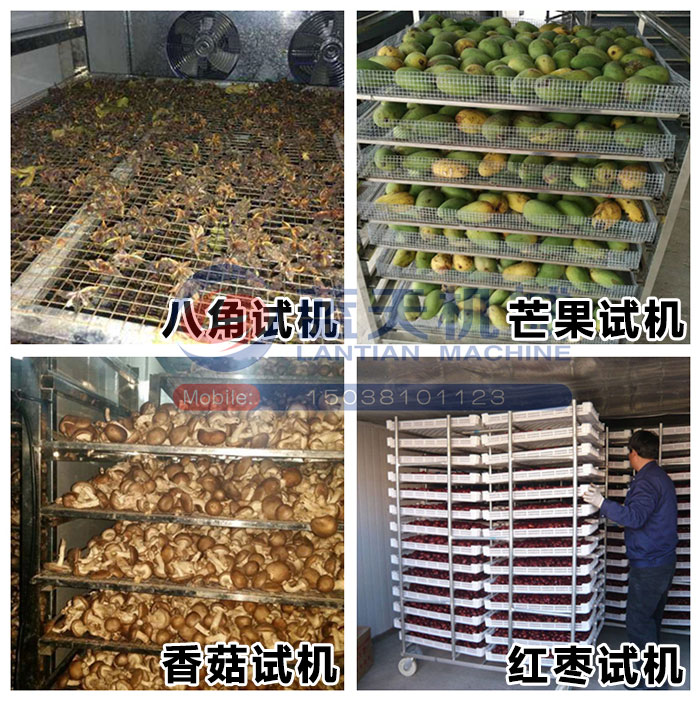 八角烘干機試機現(xiàn)場